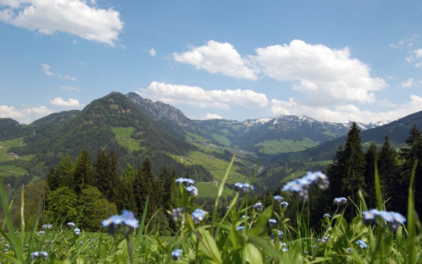 Ausblick